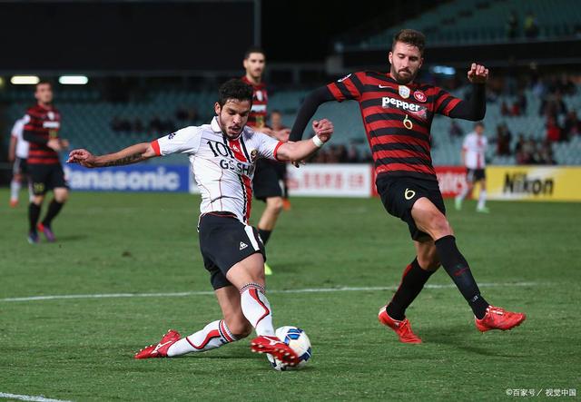 开云APP泰山率先出战亚冠精英联赛